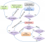 rewrite_process_uri.png, PNG k�pf�jl