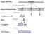 ssl_intro_fig3.gif, GIF k�pf�jl