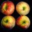 image_with_alpha.png, PNG k�pf�jl